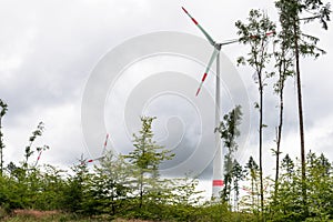 Wid turbines in aforestedarea and cloudy sky