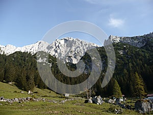 Widauersteig via ferrata, Scheffauer mountain, Tyrol, Austria photo