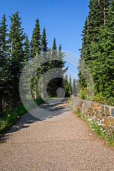 Wide aggregate walking path at Mt Rainier with stone wall evergreen trees, and blue sky