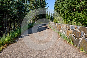 Wide aggregate walking path at Mt Rainier with stone wall evergreen trees, and blue sky