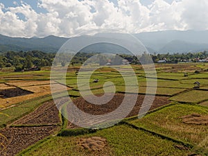 Wide angle of agriculture field under sunny day