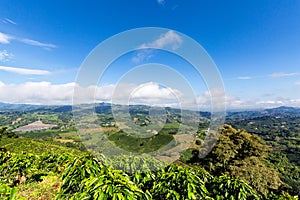 Wide angle coffee view photo