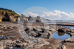 A wide-angle image of the Three Sisters and the Elephant Rock beach at low tide