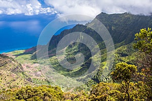 Wide angle panoramic view of the Kalalau Valley on the Na Pali Coast of Kauai, Hawaii. Taken from the Pu'u O Kila Lookout. Photo