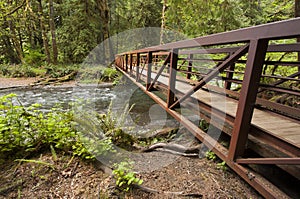 Wide angle photo of Metal Nature Bridge end near Marymere Falls, Olympic National Park