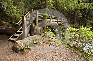 Wide angle photo of wooden Nature Bridge end near Marymere Falls, Olympic National Park