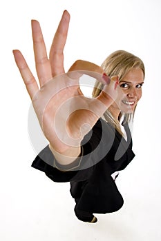 wide angle picture of an attractive businesswoman