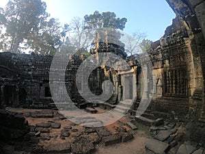 Wide angle picture of temple ruins of angkor wat, cambodia with tree ontop