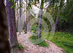 Wide angle picture of a Young female hiker walking on the hiking path or trail in polish Tatra mountains on the way from Zakopane