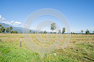 Wide angle rural landscape of field, fence and distant trees