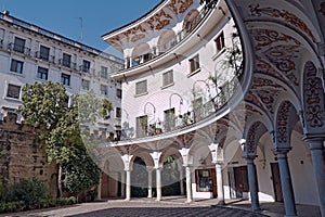 Wide angle shot of the Plaza del cabildo surrounded by trees in Spain