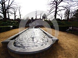 Wide angle shot of a pool of water surrounded by trees