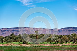 Široký uhol z skala formácia a palma stromy počas v drâa údolie maroko 