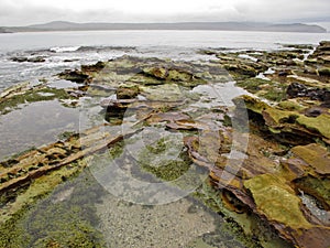 Wide angle shot of a rocky tidal shore