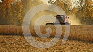 Wide Angle of Soybean Field and Red Combine