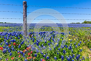 A Wide Angle View of a Beautiful Field