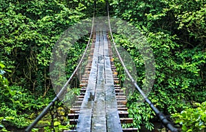 Wide-angle view of the cable bridge over the river in Georgia