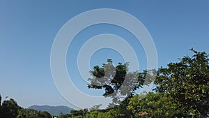 Wide angle view of the clear sky and silhoute mountain in the background