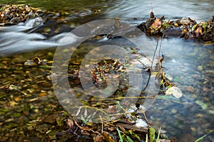 Wide-angle view of a muskeg pond with ditch-water in the shadow of trees on a summer day: plenty of branches, plants