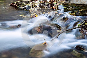 Wide-angle view of a muskeg pond with ditch-water in the shadow of trees on a summer day: plenty of branches, plants