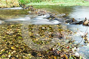 Wide-angle view of a muskeg pond with ditch-water in the shadow of trees on a summer day: plenty of branches, plants