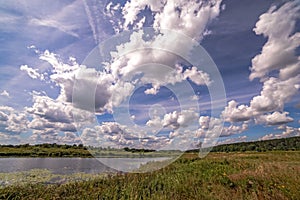 Wide angle view of a summer swamp and cloud reflections in water among yellow water lilies