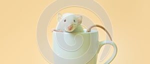 Wide animal banner with cute white mouse
