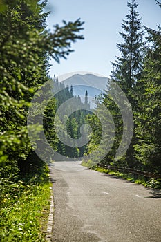 Široká asfaltová cesta vedoucí lesem do hor. Přírodní horské scenérie, letní krajina.