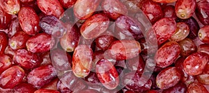 Wide banner of juicy red sweet grapes
