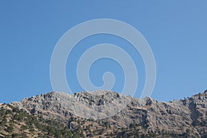 Wide blue sky and gray mountain range with forests and trees shot from a low angle