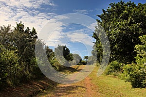 Wide Car Dirt Road