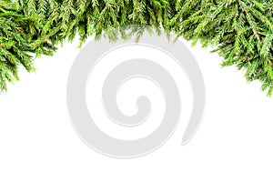 Wide Christmas border garland arranged with fresh fir branches isolated on white in arch form