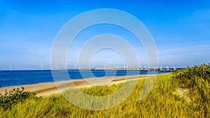 The wide and clean sandy beach at Banjaardstrand along the Oosterschelde