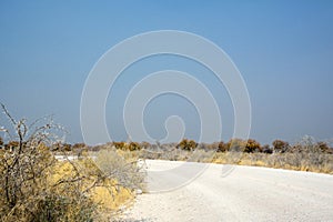 A wide dirt road in the desert in perspective under a dark sky