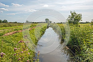 Wide ditch in an agricultural landscape