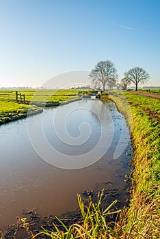 Wide ditch in an agricultural landscape