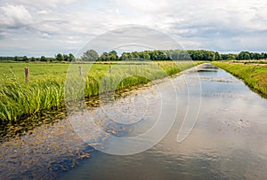 Wide ditch in a Dutch polder landscape