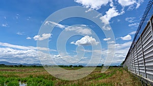 A wide famer agriculture land of rice plantation farm after harvest season, under beautiful white fluffy cloud formation