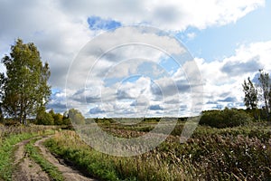 Wide field road turn, forest blue sky white clouds green