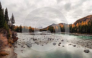 Wide flood of the river. Beautiful misty mountain landscape with wide Argut river. Gloomy scenery with big mountain river in mist
