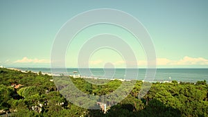 Wide forest against calm sea and city under clear blue sky