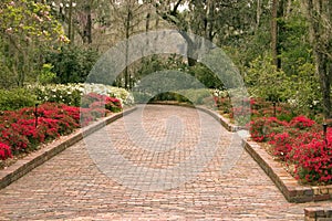 Wide garden walkway