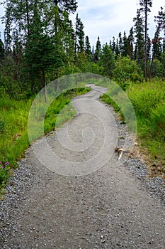 Wide gravel path of the Brooks Falls Trail