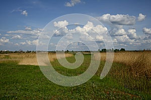 Wide green meadow with bright blue sky, beautiful cumulus clouds, summer background