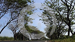 Wide highway with a straight white line dividing the road