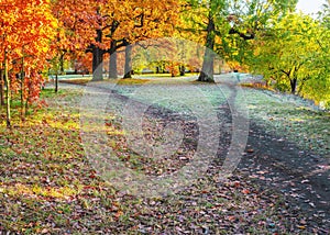 Wide hiking trail in the park is divided into two narrow, diverging in different directions