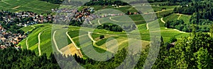 Wide hires panoramic landscape view of Black Forest vineyard valley, aerial