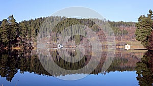 Wide lakeshore panorama with lodges of boat and woods in Scandinavia. Blue sky and evergreen woods reflection in the water in autu