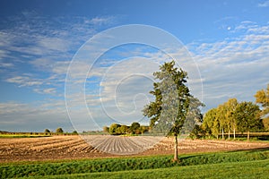 Wide landscape in Bavaria in autumn with harvested fields and trees against a blue sky with clouds