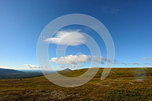 Wide landscape in sweden photo